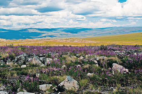 alaska national parks tour