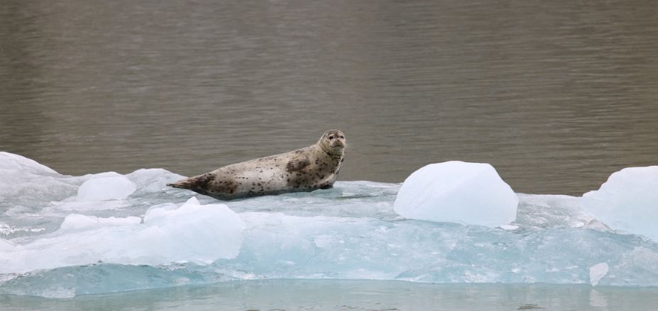 celebrity cruise inside passage