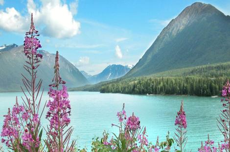 alaska national parks tour