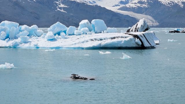 Planning the Ultimate Alaska Experience?