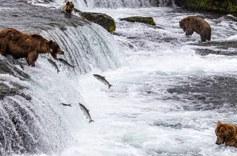 2025 Itinerary Headers 5 Thumbnail